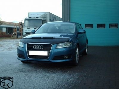 Steenslag/Auto Bra Audi A3 2009