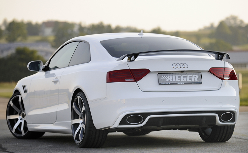 Audi A4/A5/S4/S5 Einddemper Rieger
