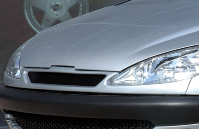 Sport grill Peugeot 206 Rieger