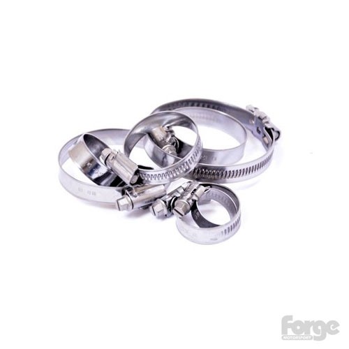 Hose Clamp Sets Hose clamp set for FMSMTIND-T FORGE