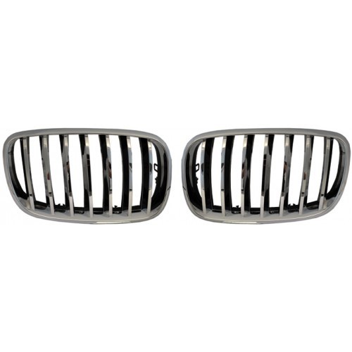 Grill BMW X6 Type E71/E72 bj. 2008- Chroom/Zwart